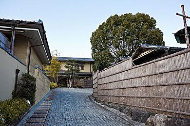 开放式种田游戏《丰登之日》于Steam平台 EA发售